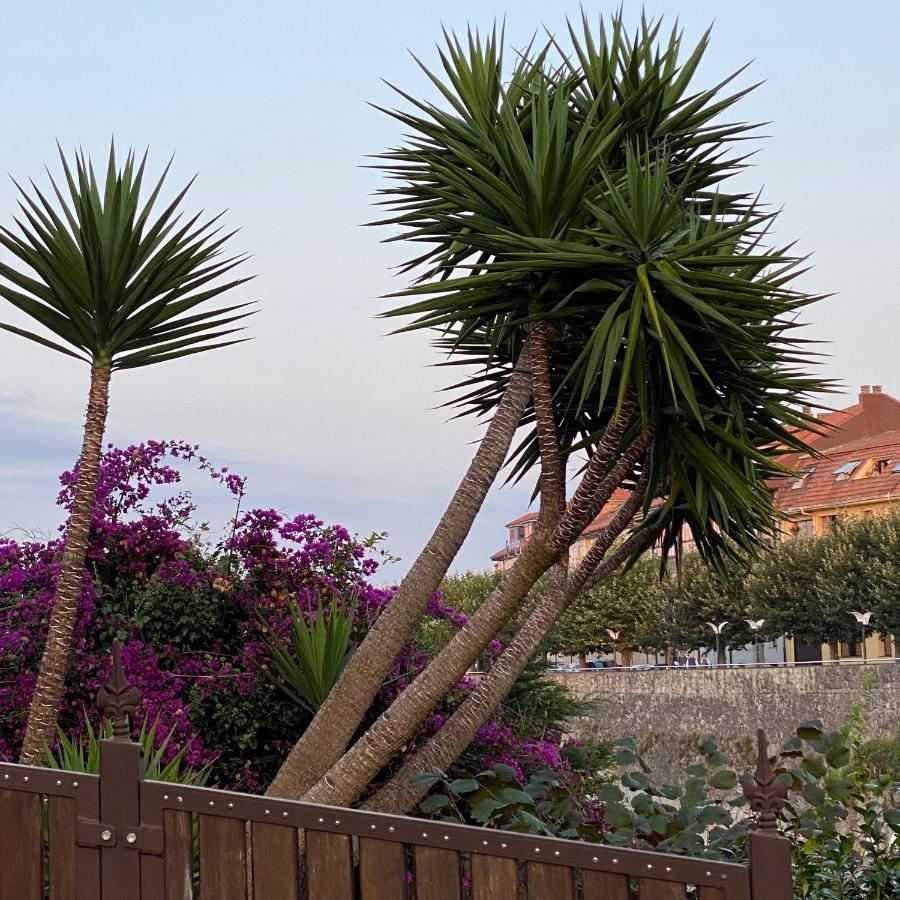 La Casa De Hierba - Casa De Campo De Diseno Con Jardin Y Wifi Cerca De Las Playas De Llanes Luaran gambar
